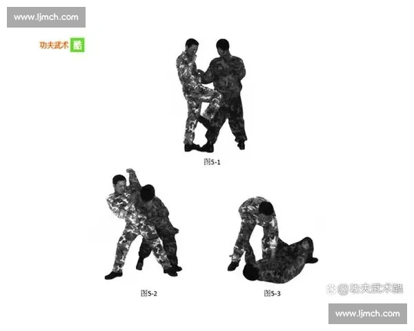 柔道对决拳击实战比较从规则技巧到胜负关键全解析擂台街斗适用性研究