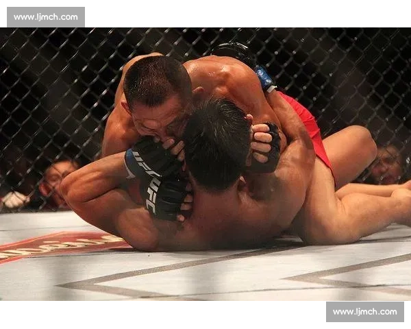 杨建平对决宁广友揭示中美格斗差距与舆论风暴真相背后行业反思